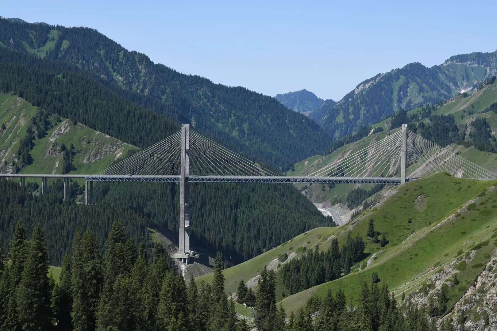 D3-2.jpg