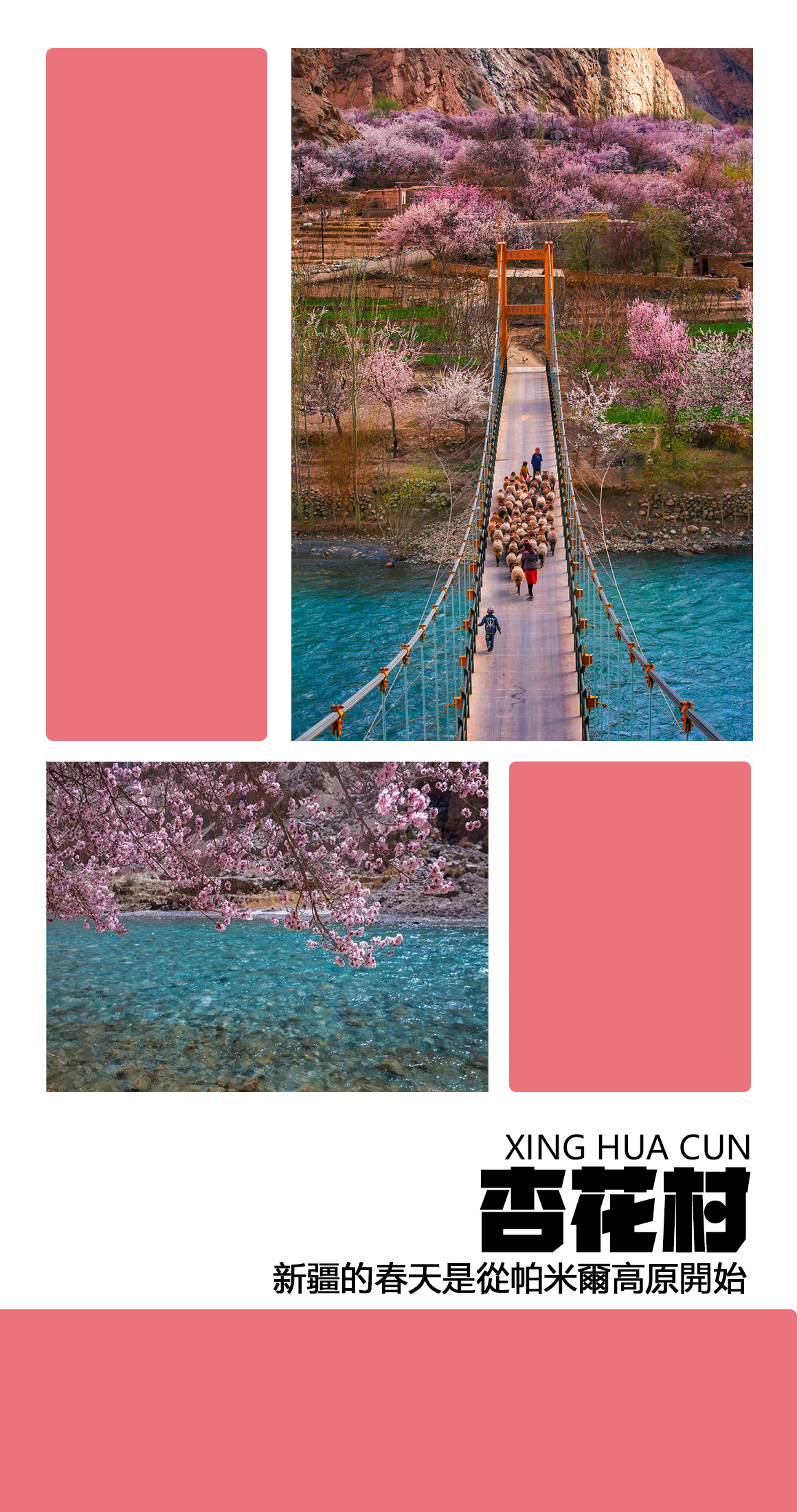 杏花村.jpg