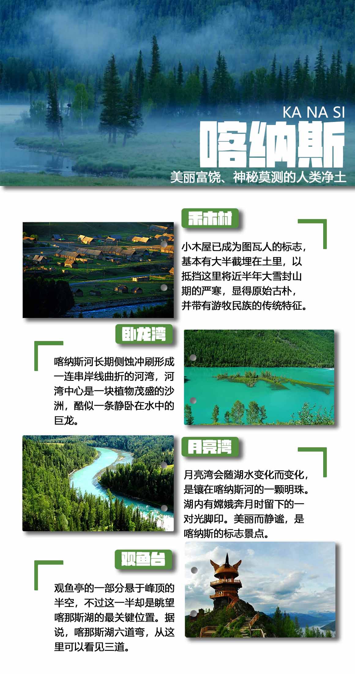 喀纳斯.jpg